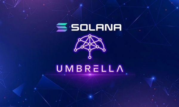 Umbrella Network запускает децентрализованные оракулы данных на Solana