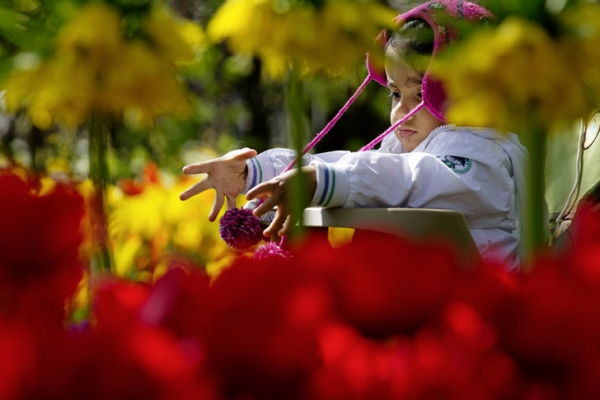 Нескучный сад: как устроена работа крупнейшего в Европе цветочного парка